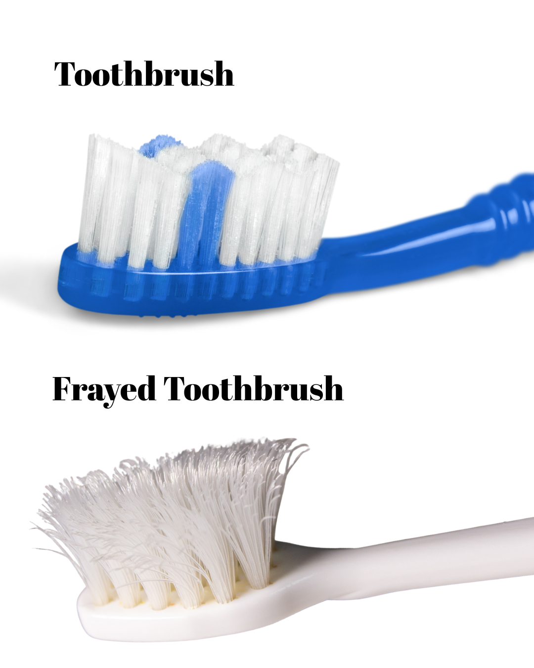 Toothbrush & Frayed Toothbrush